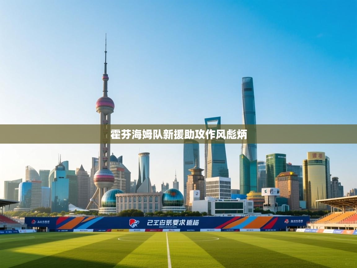 开云体育app官网入口-霍芬海姆队新援助攻作风彪炳  第2张