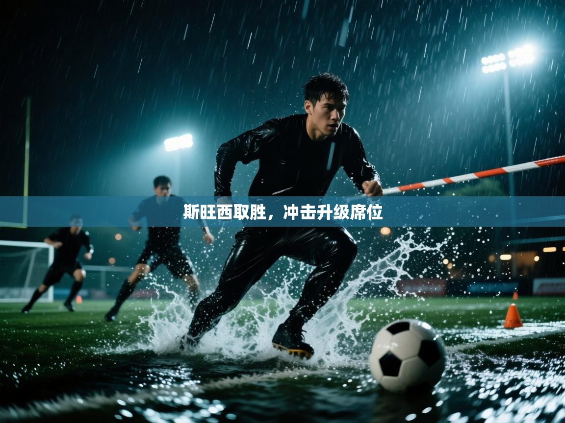 kaiyun sports-斯旺西取胜，冲击升级席位  第4张