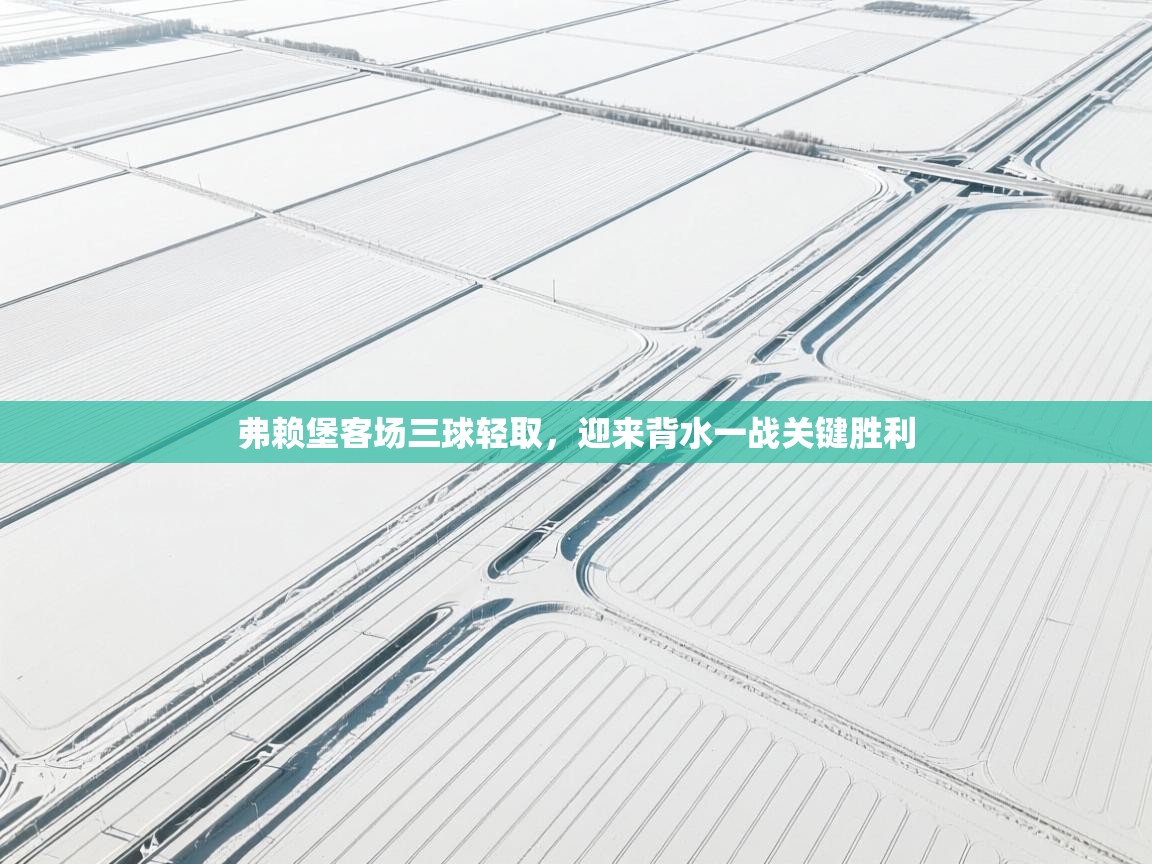 开云体育app官网-弗赖堡客场三球轻取,迎来背水一战关键胜利 第3张